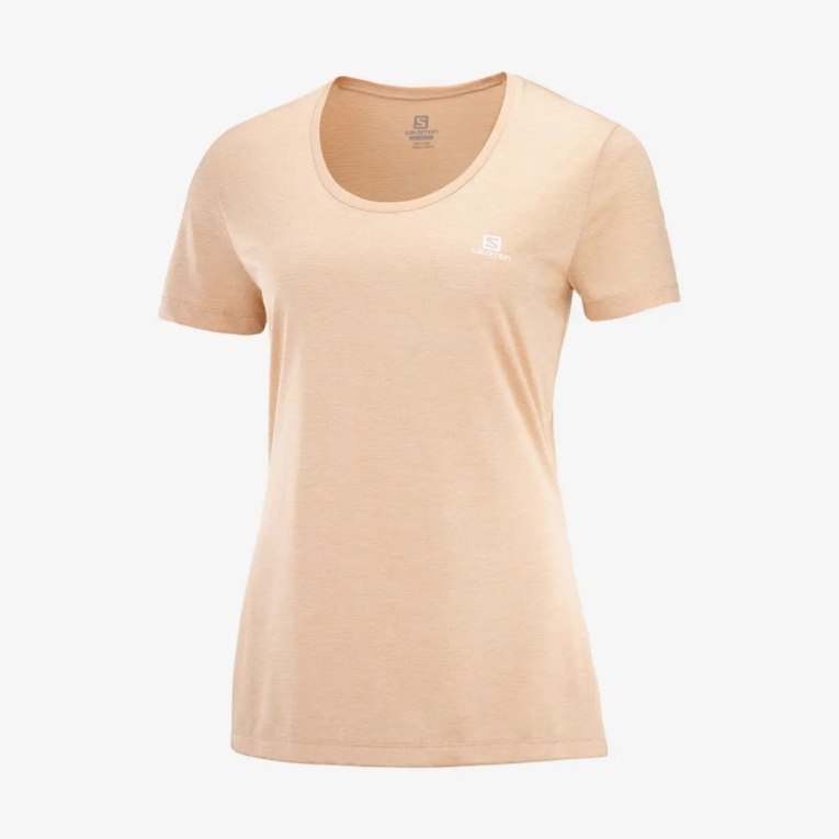 Apricot Salomon Agile Short Sleeve Women's T-Shirts | PH 26839G